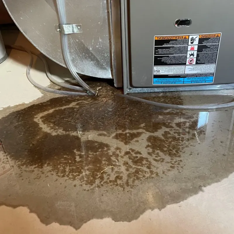 Pipe Burst and Leak Restoration in Jeff Davis County, GA