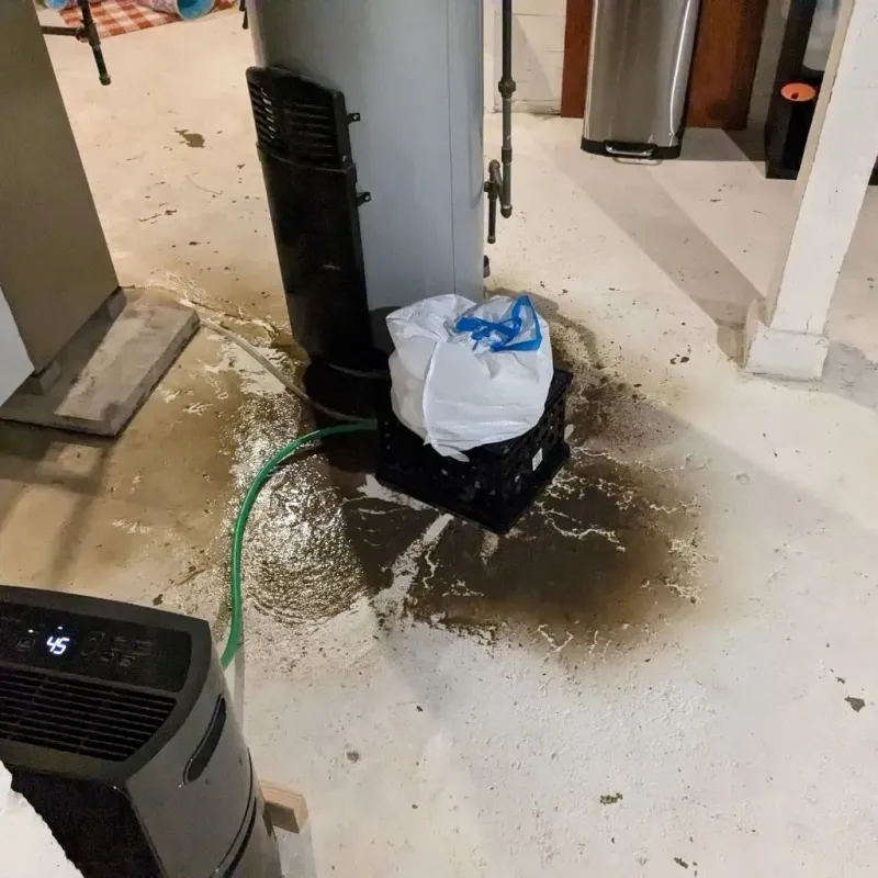 Sewage Backup Cleanup Service in Jeff Davis County, GA